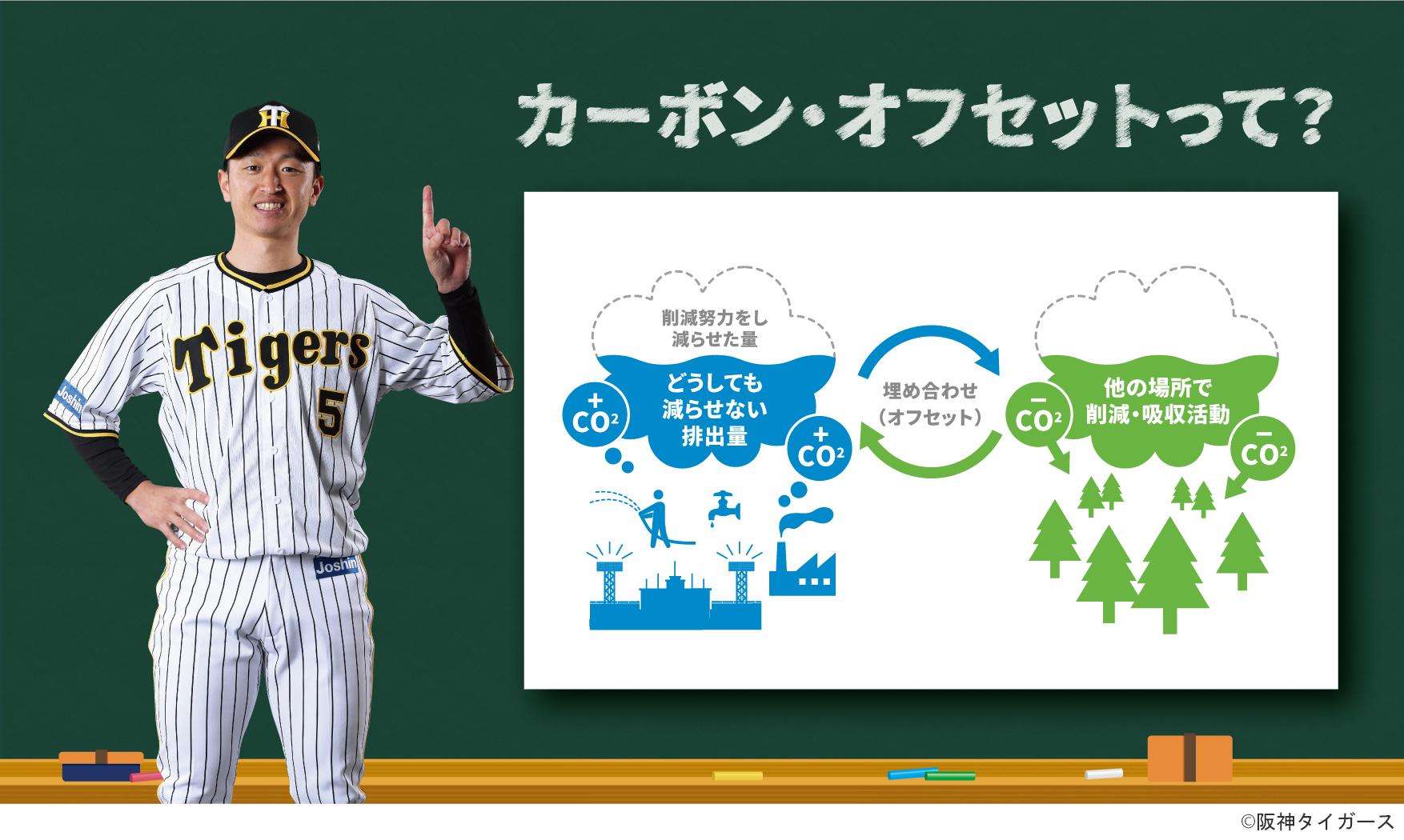 2024豊富な甲子園　野球　阪神　タイガース 野球